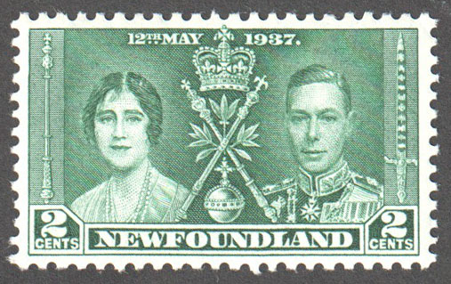 Newfoundland Scott 230 Mint VF - Click Image to Close